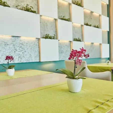 Azaleea Mamaia Nord Hotel