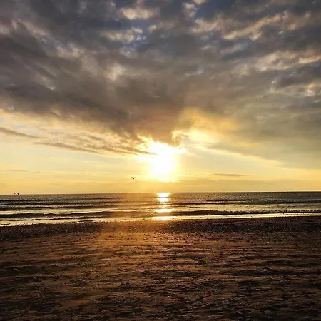 Szálloda Azaleea Mamaia Nord Năvodari
