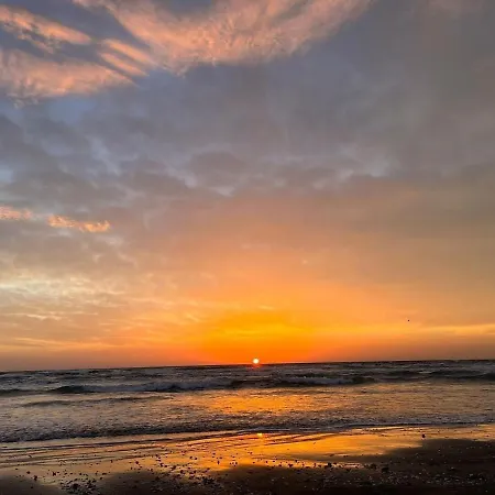 Azaleea Mamaia Nord Năvodari